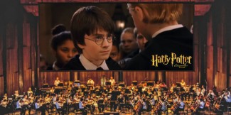 Harry Potter in concert