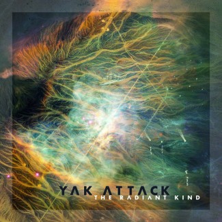 Yak Attack - The Radiant Kind