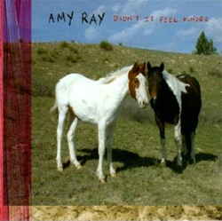 Amy Ray - Didn’t It Feel Kinder